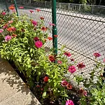 Апартаменты Nature & Comfort Near Vienna - 90m2 Kaltenleutgeben