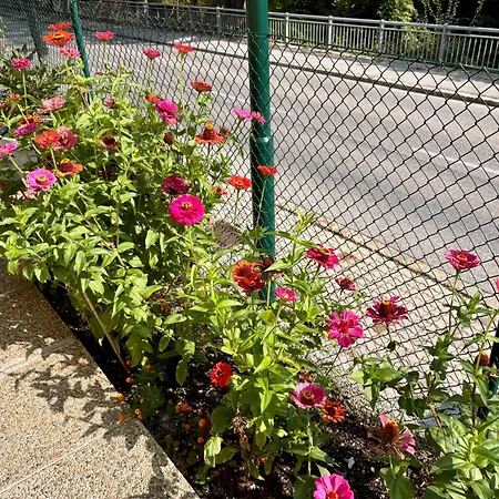 Daire Nature & Comfort Near Vienna - 90m2 Kaltenleutgeben