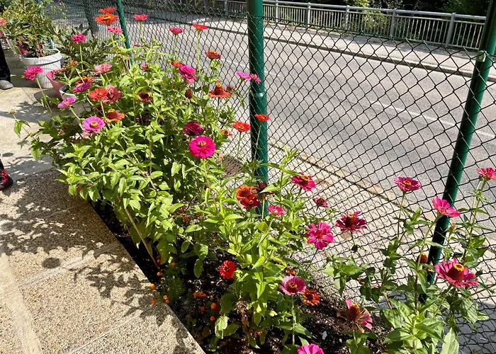 Apartment Nature & Comfort Near Vienna - 90m2 Kaltenleutgeben